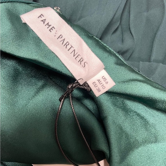 Fame and Partners Ciel Dress- mock neck pleat dress - Picture 11 of 11